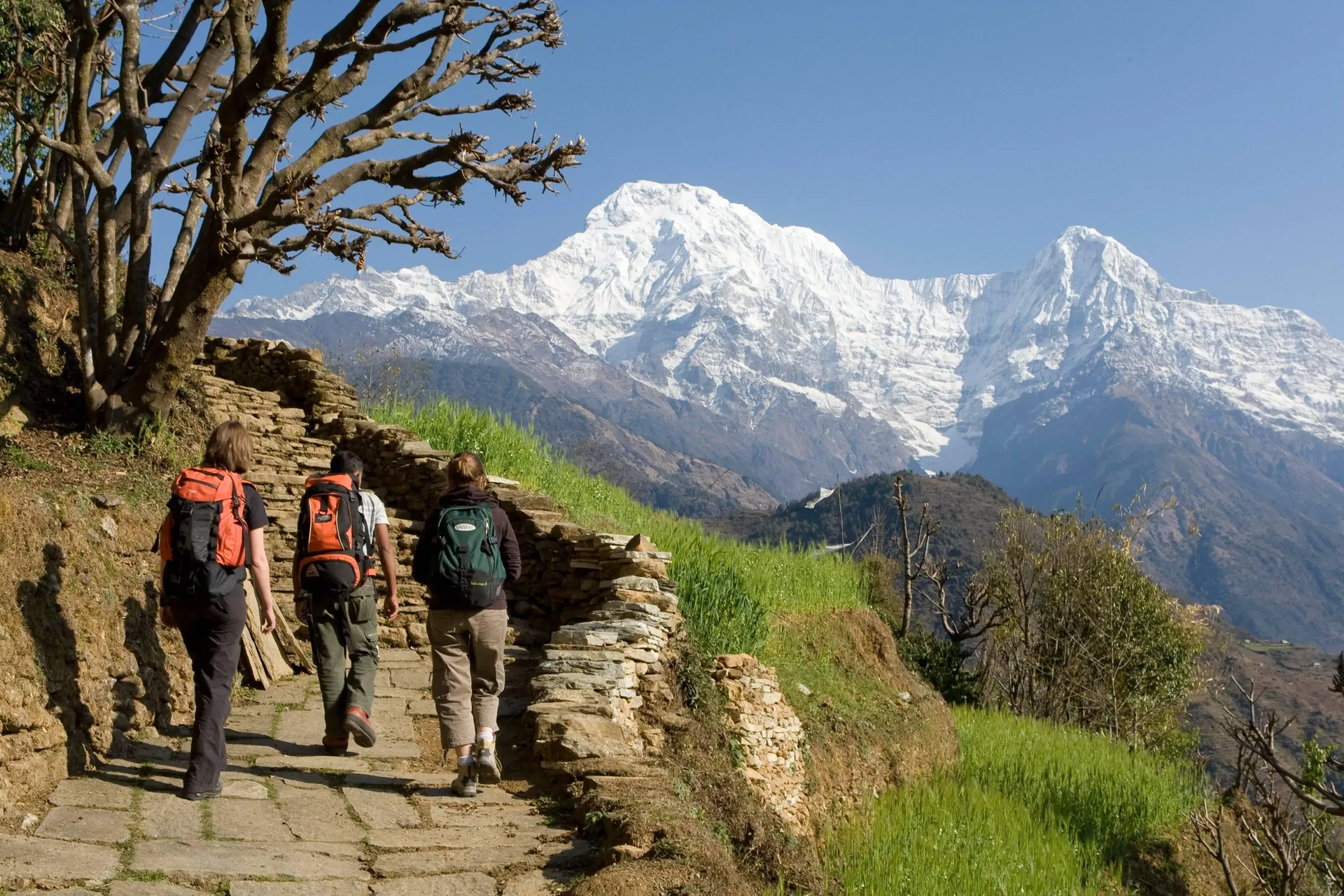 Travel, thoughtfully made